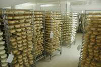 Fabrication du fromage - Cave d'affinage